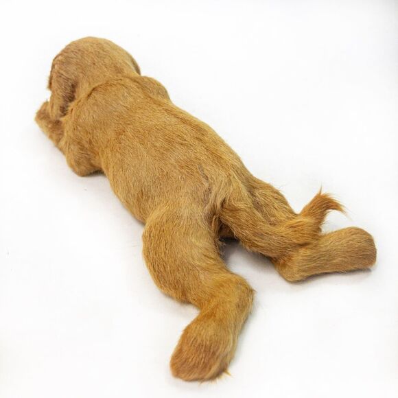 Vintage Golden Retriever Puppy Dog Figure - Real Fur - Picture 3 of 10